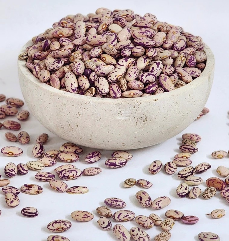 لوبیا چیتی درجه 1