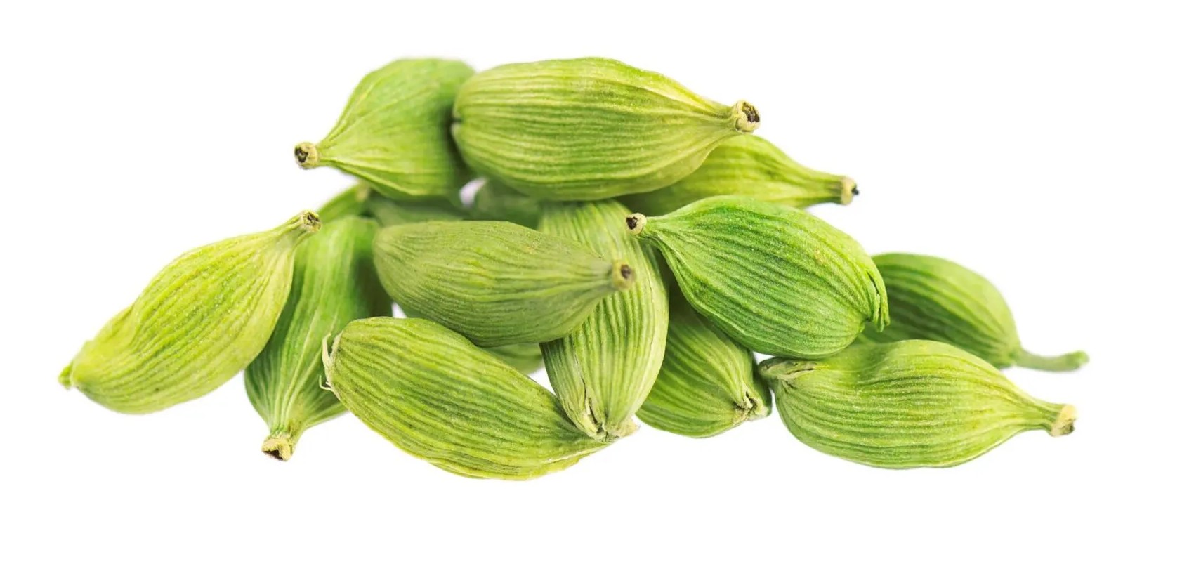 اکسین هل  25گرمی