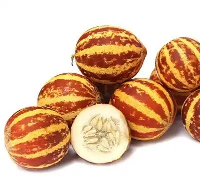 میوه شمام