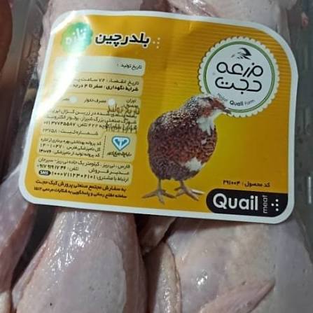 مزرعه حجت گوشت بلدرچین منجمد