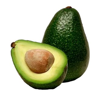 میوه آووکادو