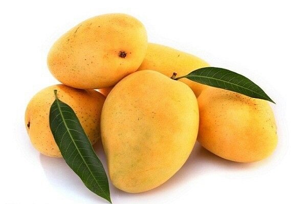 میوه انبه