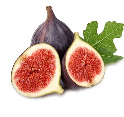 میوه انجیر سیاه