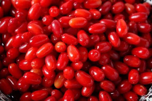 اکسین میوه ذغال اخته وکیوم