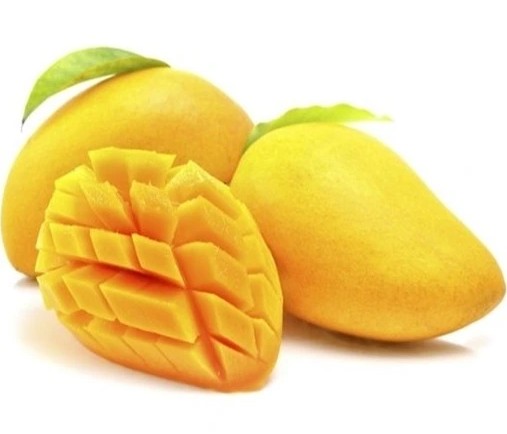 میوه انبه خارجی عددی