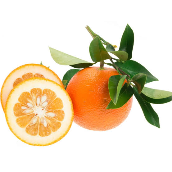 نارنج تازه