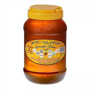 سالار خمین عسل کوهی 500 گرم