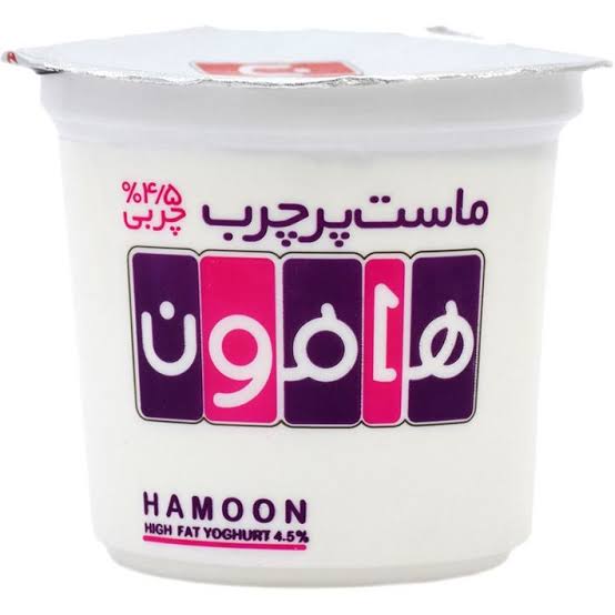 هامون ماست ویژه پرچرب 650 گرمی